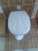 Aqualife Shell mints duroplast WC lke