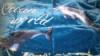 Delfines pld 200x230cm