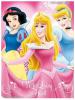 J Verdk Hercegnk DISNEY pld NAGY