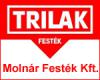 Molnr Festk Kft.