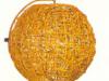 Rattan falikar
