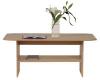 Tip Top dohnyzasztal TLAW 60 120