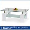 Diana 110x60cm dohnyzasztal Fehr
