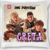 One Direction mints prna
