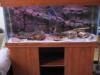 400 L BTORLLVNYOS HTTERES AKVRIUM EGYEDI 3DIMENZIS HTTRREL AZ R TARTALMAZZA 400 L AKVRIUM MRET 120X55X60 8MM ES