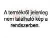 London gykeret 2