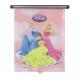 Disney napellenz rol hercegns