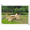 Termk neve Poly Wicker Rattan kerti btor