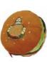 Simpson hamburge prna