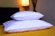 Memo Relax kisprna 38x48cm Egyesti a hagyomnyos prna s a korszer memory prna elnyeit Tltete aprra vgott m