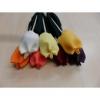 Pspklila egyszn textil tulipn