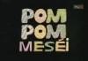 Pom Pom mesi - A lesbl tmad ruhaszrt ktl