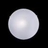 Simply PL1 Mennyezeti fali lmpa Ideal Lux lmpa Mretek tmr 250 mm Magassg 90 mm Szn opl veg bra Gyrt Ideal Lux Vdettsg