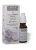 Aromax Lgfrisst spay Levendula Teafa