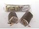 HORVTH KAKAS ROL 30G /20/