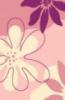 Artemis 1079 Pink 120 sznyeg