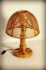 Rattan lmpa