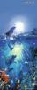 Delfines ajt mret fottapta poszter W G 513