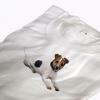 Pl terrier kppel