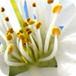 Wellness Otthon Magazin