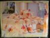 A garnitra tartalmaz 2db paplanhuzat 140x200cm2db nagy prnahuzat 70x90cm2db kis prnahuzat 40x50cm1db leped 220x230cm Minsg