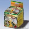 100W halogn spot izz