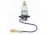 Halogn izz H3 12V 55W