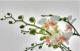 Cikkszm 1 608 Az orchidea virga mindig elbvl ltvnyt nyjt lvezze ezt a szpsget otthonban Hogy nz