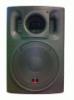 12ESW400 PWD Aktv mly hangfal Trapzformj polypropiln lda 12 mly hangszr