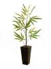 EUROPALMS Cannabis cserje textil 170cm 82506690