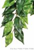 Exo Terra csng eserdei mnvny Ficus kicsi A vals nvny termszeth msa Knnyen tisztthat s karbantarthat Valdi nvnyekkel egytt hasznlhat A hllk s ktltek szmra termszetes bv