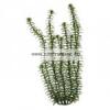 TETRA Plantastics Plus Anacharis Wasserpest mnvny 1 es S 15cm