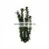TETRA Plantastics Plus Green Cabomba mnvny 1 es S 15cm