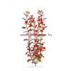 TETRA Plantastics Plus Red Ludwigia mnvny 3 as L 30cm