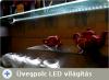 Vitrin vegpolc LED vilgts