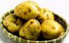 Krumpli mnia A burgonya az egyik legfontosabb tpllkunk Lehet pommes frites burgonyapr petrezselymes vagy rakott krumpli Sajttal sonkval kolbsszal tejfllel vagy trval az igazi krumpli mnis