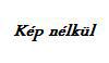 Elad egy pelenkatart vdr