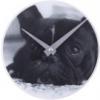 Dog falira Nextime