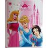 Disney hercegnk pld kastlyos