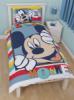 Mickey Egr Play gynem