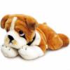 Plss angol buldog kutya, 35 cm - vsrls rendels