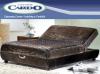 Cardo Jamaica gy