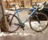 Colnago Arte Orszgti kerkpr hasznlt