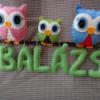 Balzs filc baglyos fggdsz filcdsz nvtbla faldekor fali dekorci Baba mama gyerek Dekorci Otthon lakberendezs Gyerekszoba Varrs Gabi krsre kszlt el ez a baglyos filcdsz Balzs nvvel 