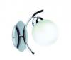 Spot Light Torino falikar