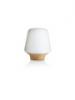 Philips WELLNESS asztali lmpa 40801 72 16