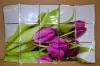 CSEMPEMATRICA 750 450 MM LILA TULIPN CSOKOR485Rszletek