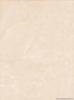 AMARYLIS Beige FALICSEMPE 25X33