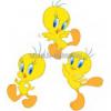 WF000850 LOONEY TUNES faldekorci 3 db os