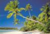 Cook Island ris poszter